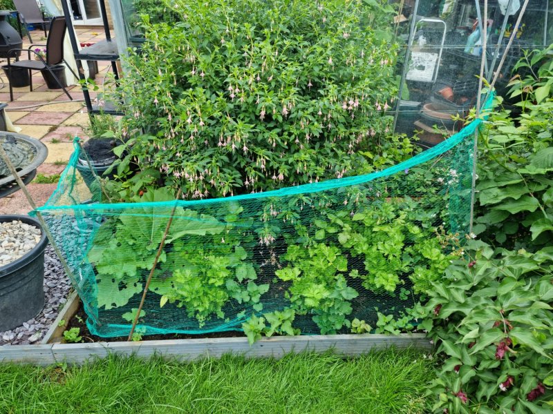 WhatsApp Image 2021-07-13 at 10.25.42.jpeg