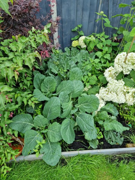 WhatsApp Image 2021-07-13 at 10.25.44.jpeg