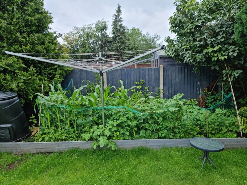 WhatsApp Image 2021-07-13 at 10.25.45.jpeg