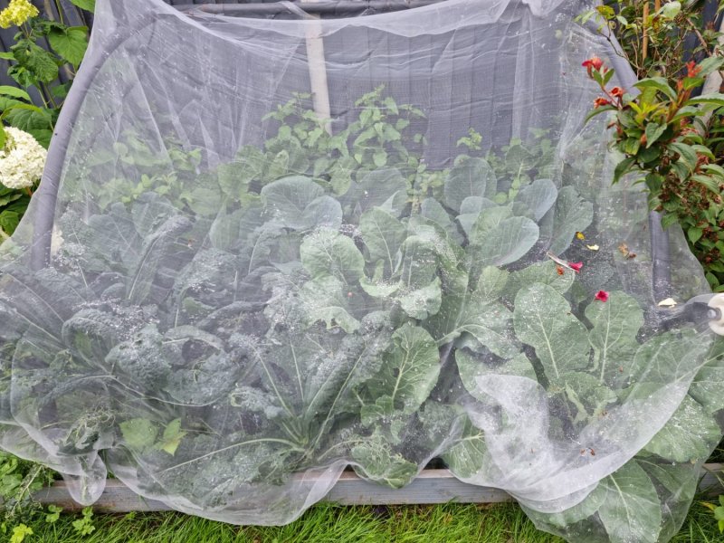 WhatsApp Image 2021-07-13 at 10.25.46.jpeg