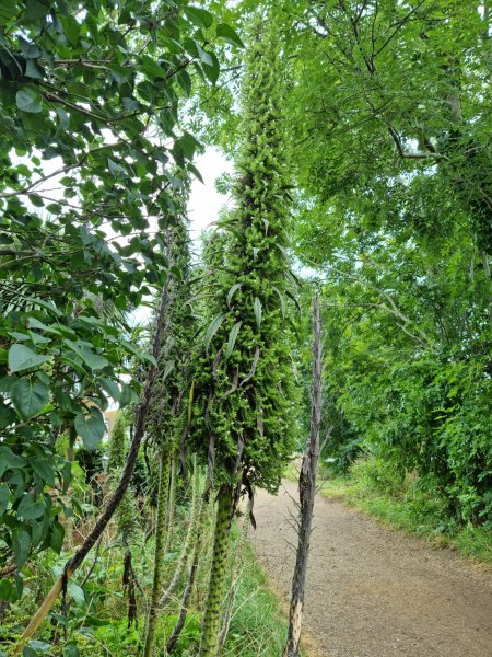 WhatsApp Image 2021-07-31 at 12.31.48.jpeg