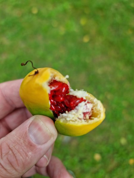 WhatsApp Image 2021-08-28 at 17.50.41 (1).jpeg