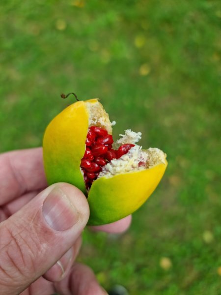 WhatsApp Image 2021-08-28 at 17.50.41.jpeg