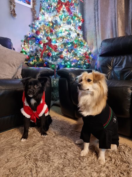 WhatsApp Image 2021-12-19 at 19.34.59.jpeg