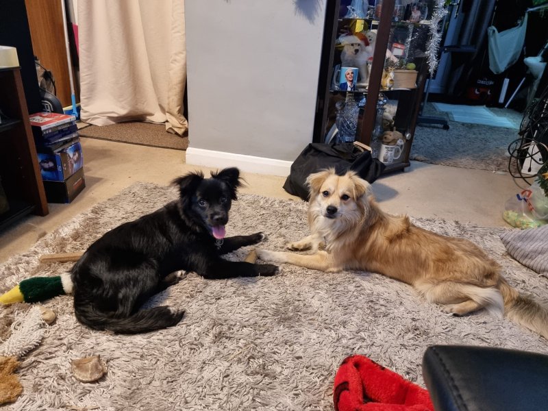 WhatsApp Image 2021-12-21 at 20.50.33.jpeg