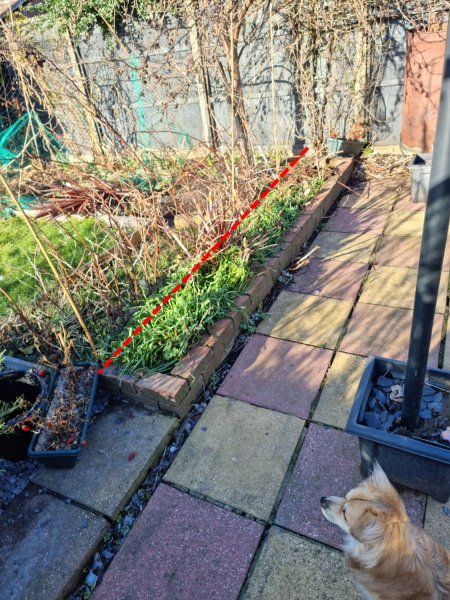 WhatsApp Image 2022-02-06 at 14.24.45.jpeg