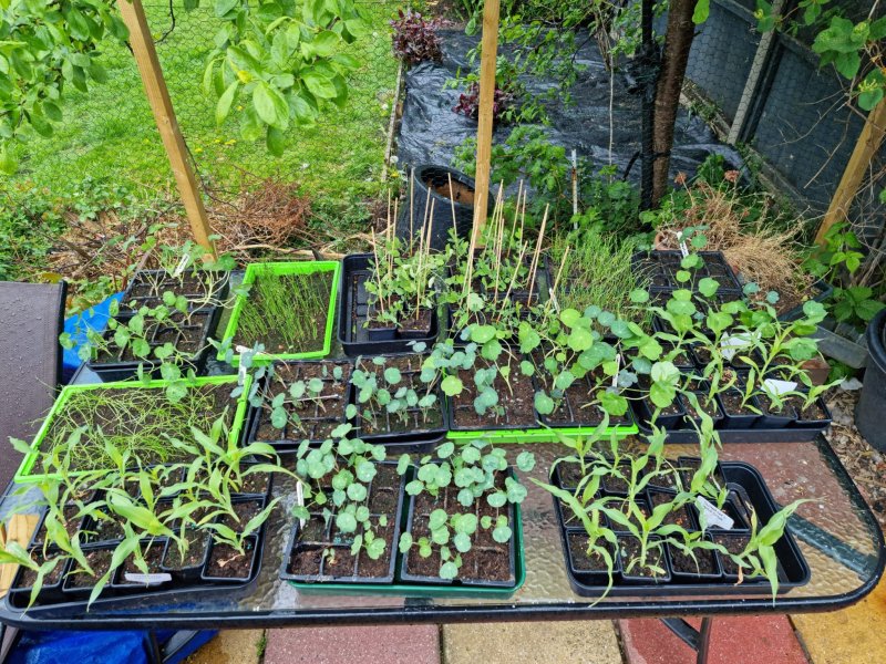 WhatsApp Image 2022-04-25 at 6.08.59 PM.jpeg