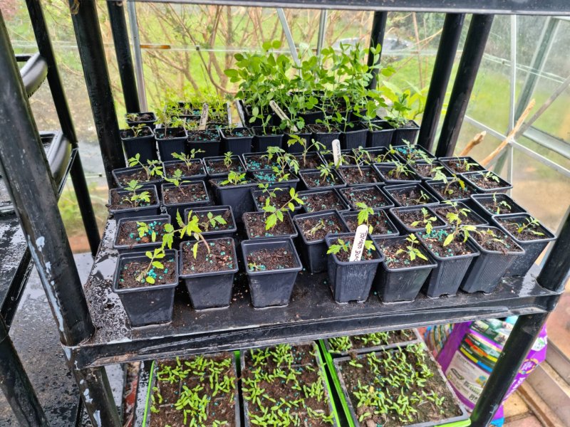 WhatsApp Image 2022-04-25 at 6.09.00 PM (1).jpeg