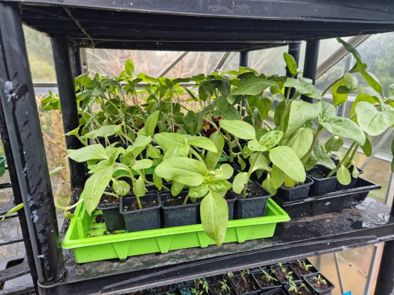 WhatsApp Image 2022-04-25 at 6.09.00 PM (2).jpeg