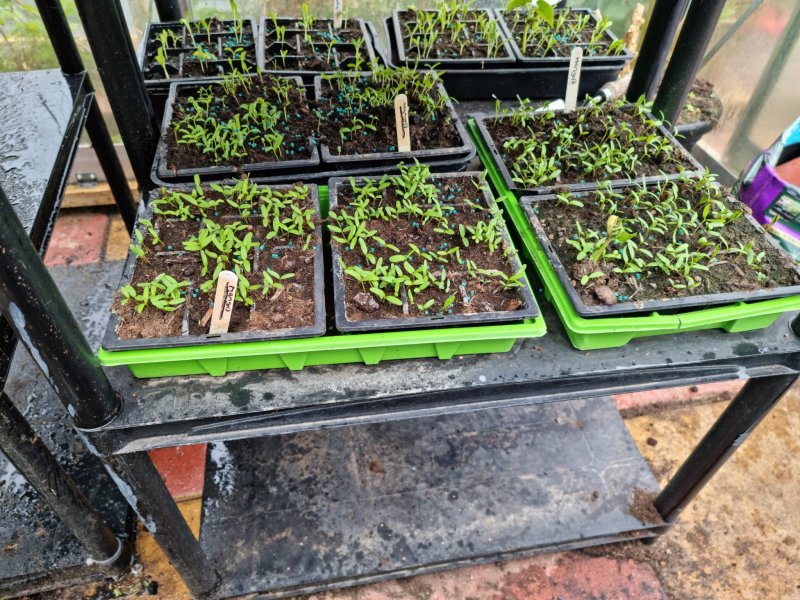 WhatsApp Image 2022-04-25 at 6.09.00 PM.jpeg