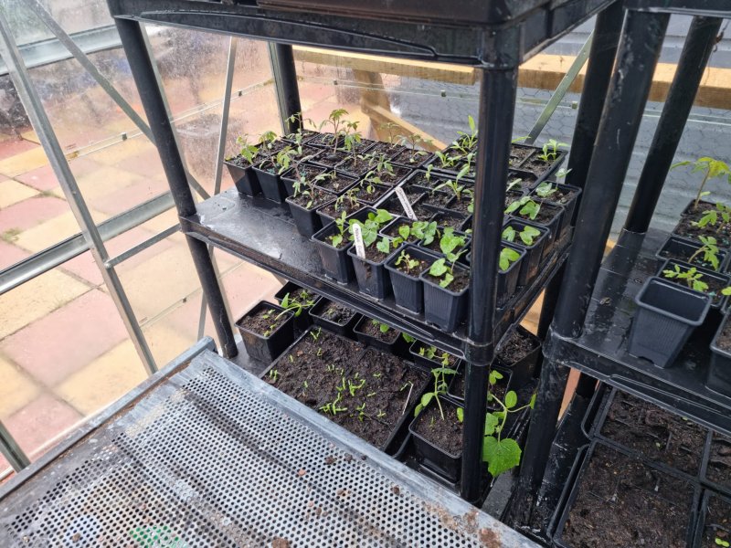 WhatsApp Image 2022-04-25 at 6.09.01 PM (1).jpeg