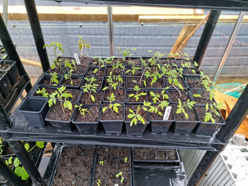 WhatsApp Image 2022-04-25 at 6.09.01 PM (2).jpeg