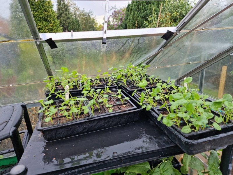 WhatsApp Image 2022-04-25 at 6.09.01 PM (3).jpeg