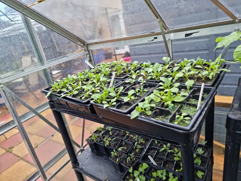 WhatsApp Image 2022-04-25 at 6.09.01 PM.jpeg