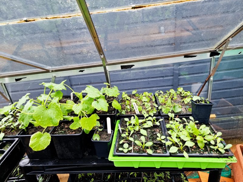 WhatsApp Image 2022-04-25 at 6.09.02 PM (1).jpeg