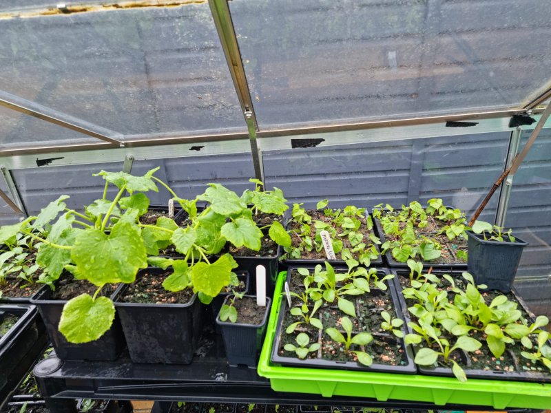 WhatsApp Image 2022-04-25 at 6.09.02 PM.jpeg