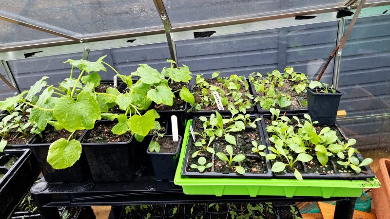 WhatsApp Image 2022-04-25 at 6.09.03 PM (1).jpeg