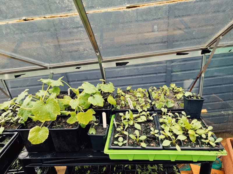 WhatsApp Image 2022-04-25 at 6.09.03 PM.jpeg