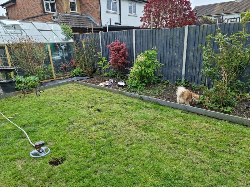 WhatsApp Image 2022-05-01 at 1.19.11 PM.jpeg