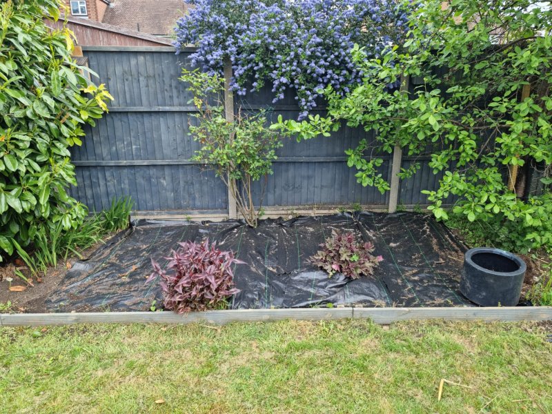 WhatsApp Image 2022-05-01 at 1.19.12 PM (1).jpeg