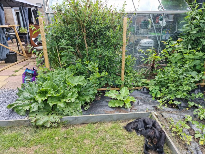 WhatsApp Image 2022-06-03 at 3.01.36 PM (2).jpeg