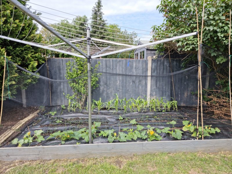 WhatsApp Image 2022-06-03 at 3.01.36 PM.jpeg