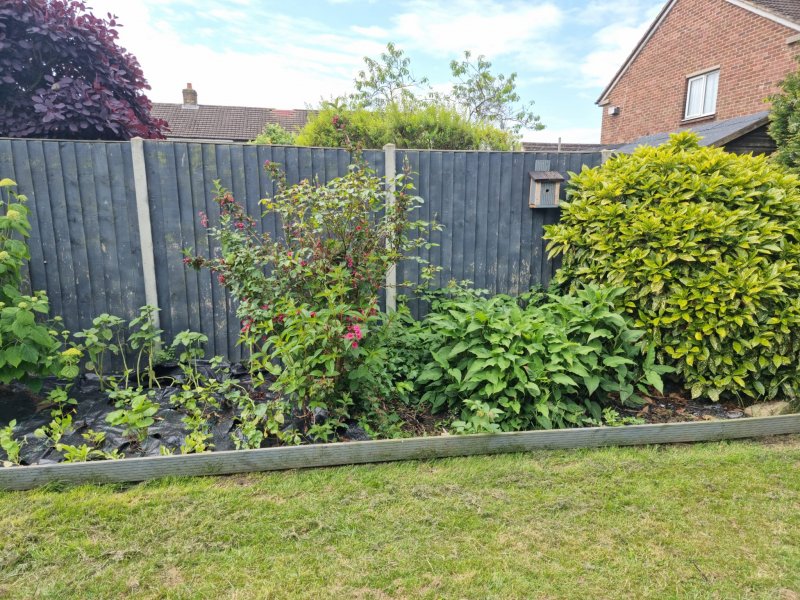 WhatsApp Image 2022-06-03 at 3.01.37 PM (1).jpeg