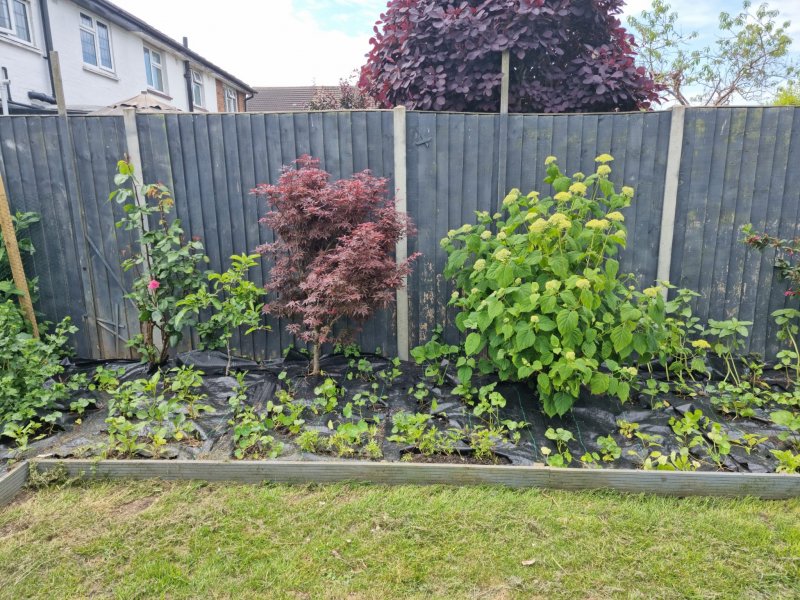 WhatsApp Image 2022-06-03 at 3.01.37 PM.jpeg