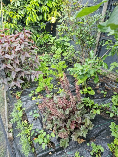 WhatsApp Image 2022-06-03 at 3.01.38 PM (1).jpeg