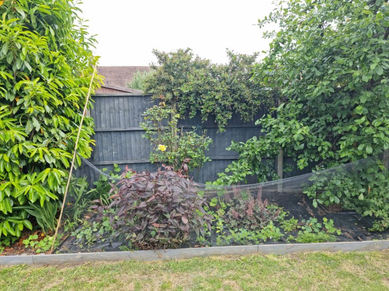 WhatsApp Image 2022-06-03 at 3.01.38 PM.jpeg