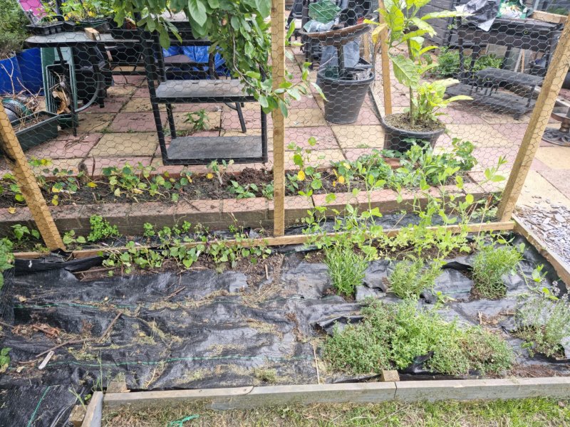 WhatsApp Image 2022-06-03 at 3.01.39 PM.jpeg