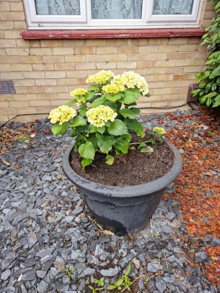 WhatsApp Image 2022-06-03 at 3.01.41 PM (2).jpeg