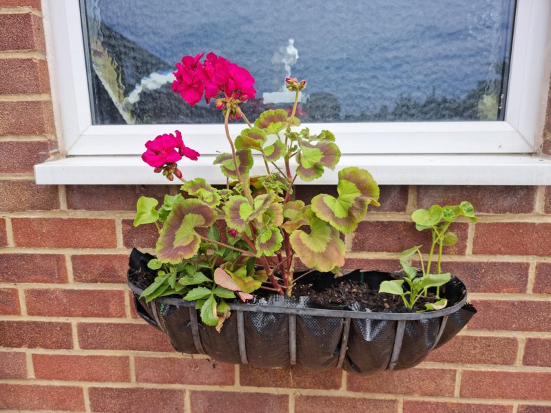 WhatsApp Image 2022-06-03 at 3.01.41 PM.jpeg