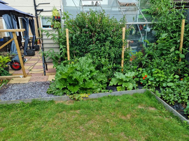 WhatsApp Image 2022-06-18 at 3.28.38 PM.jpeg