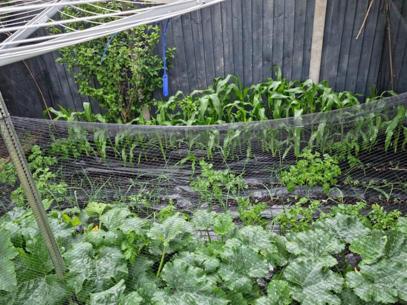 WhatsApp Image 2022-06-18 at 3.28.39 PM (1).jpeg