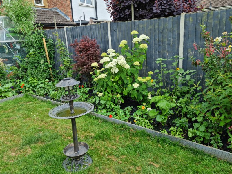 WhatsApp Image 2022-06-18 at 3.28.39 PM.jpeg