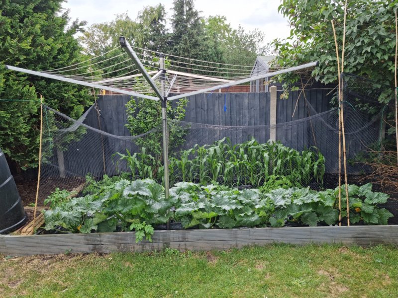 WhatsApp Image 2022-06-18 at 3.28.40 PM.jpeg