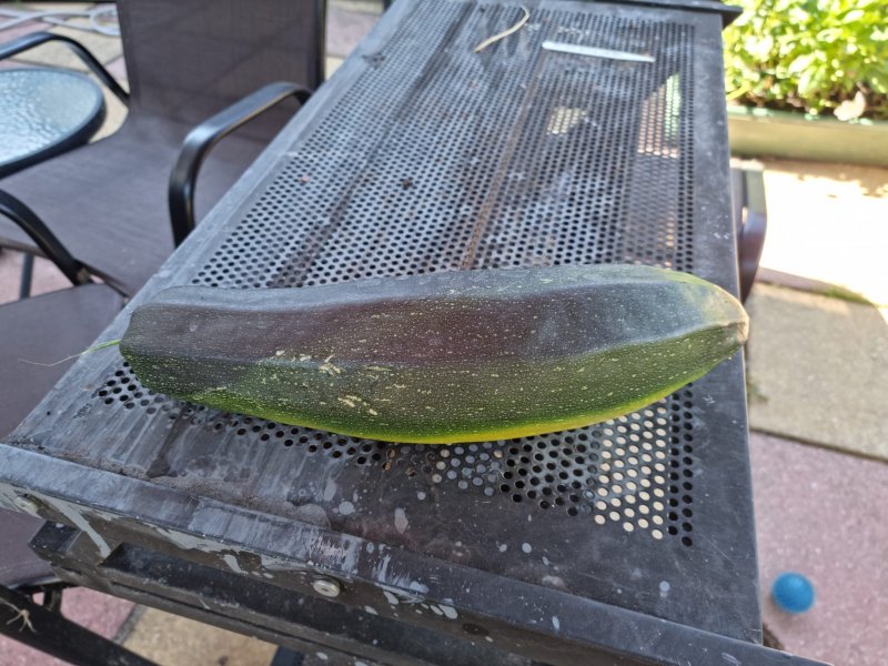 WhatsApp Image 2022-07-10 at 10.45.02 AM.jpeg