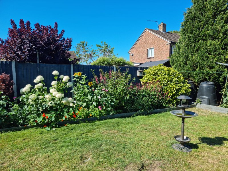 WhatsApp Image 2022-07-10 at 10.45.04 AM (1).jpeg