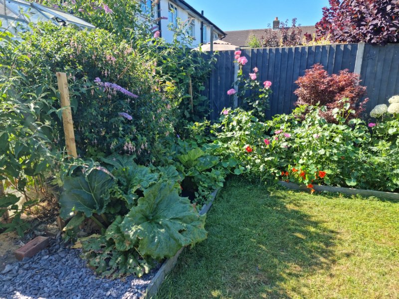 WhatsApp Image 2022-07-10 at 10.45.04 AM.jpeg