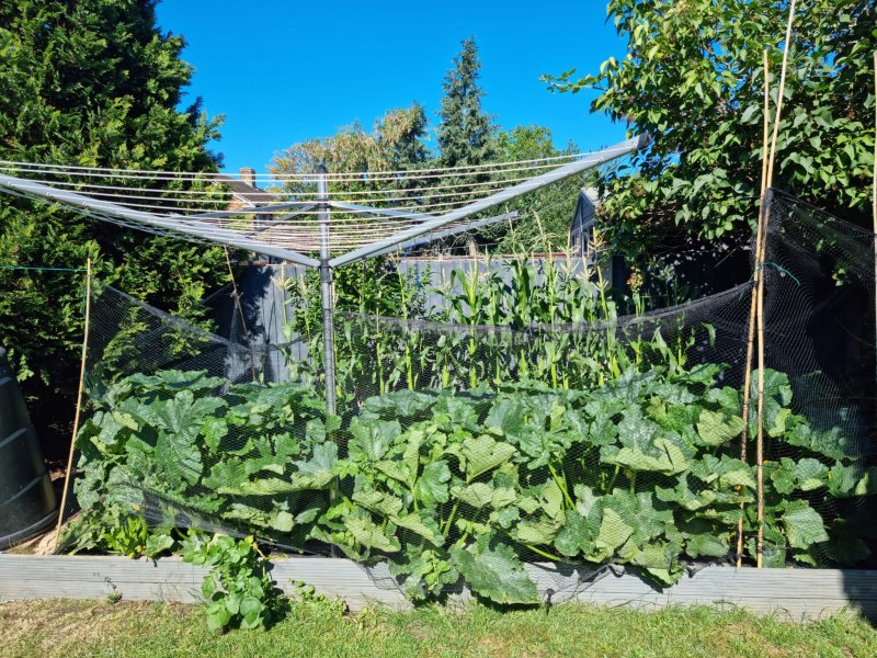 WhatsApp Image 2022-07-10 at 10.45.05 AM (1).jpeg