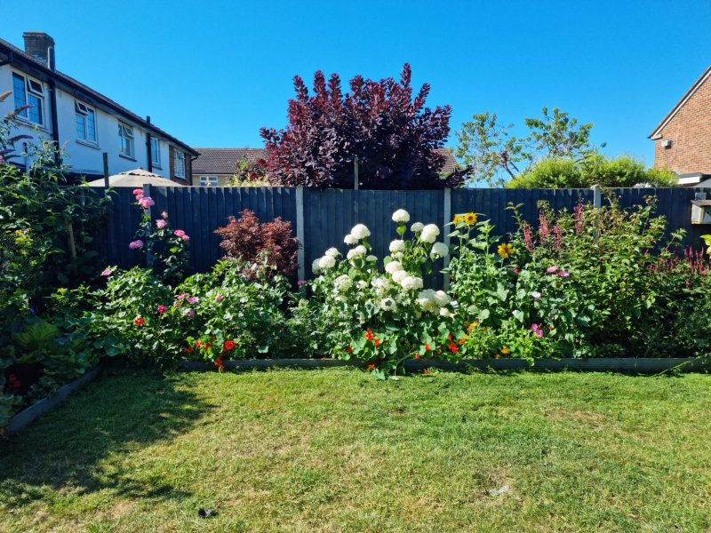 WhatsApp Image 2022-07-10 at 10.45.05 AM.jpeg