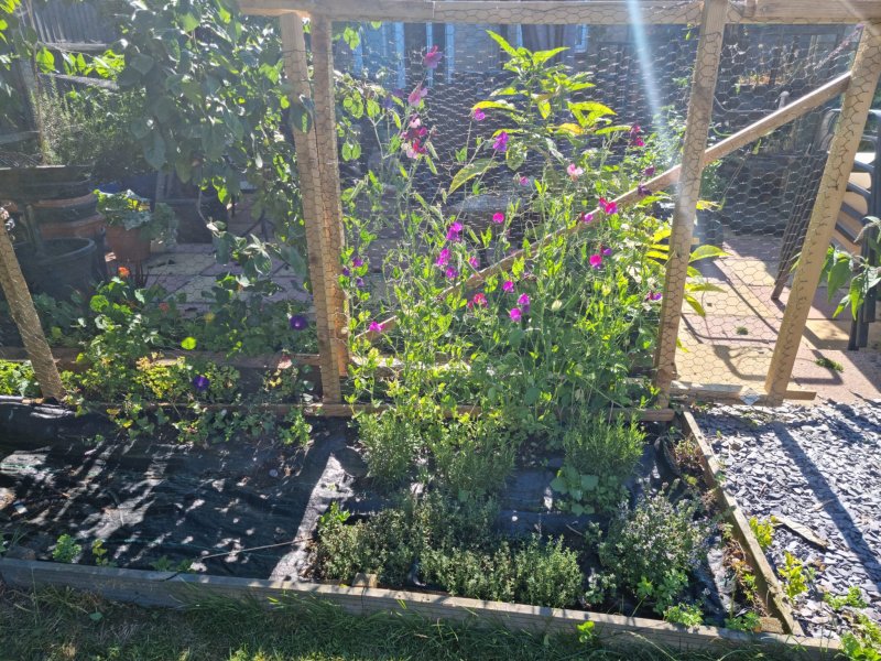 WhatsApp Image 2022-07-10 at 10.45.06 AM.jpeg