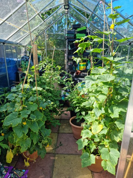 WhatsApp Image 2022-07-10 at 10.45.07 AM (1).jpeg