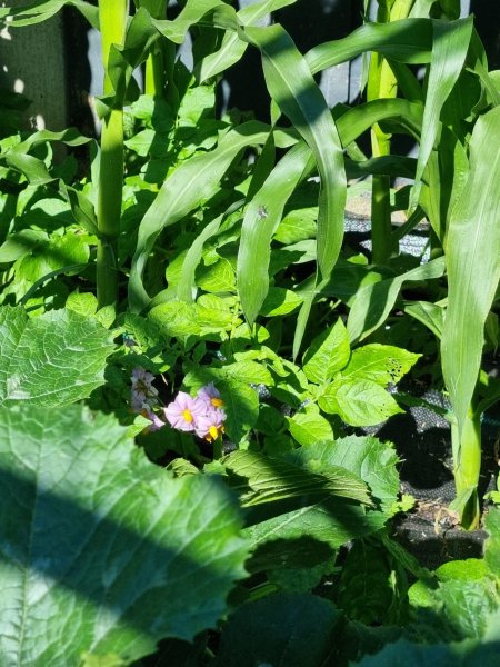 WhatsApp Image 2022-07-10 at 10.45.07 AM (2).jpeg