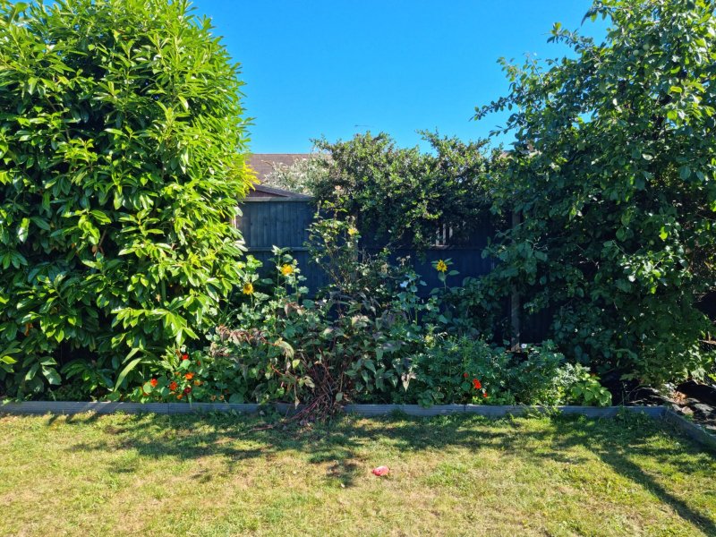 WhatsApp Image 2022-07-10 at 10.45.07 AM.jpeg