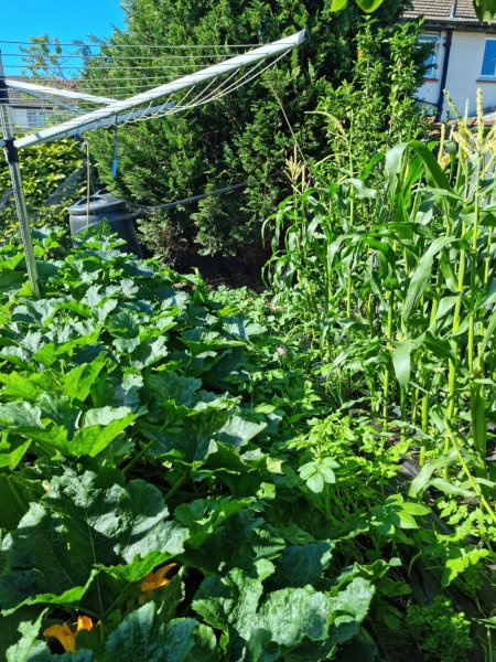 WhatsApp Image 2022-07-10 at 10.45.09 AM.jpeg