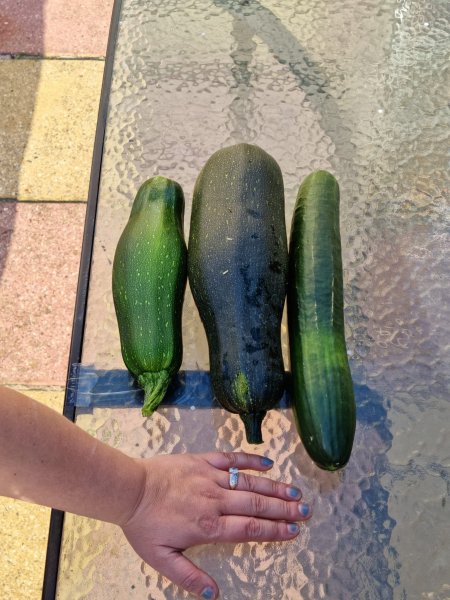 WhatsApp Image 2022-07-14 at 6.34.04 PM.jpeg