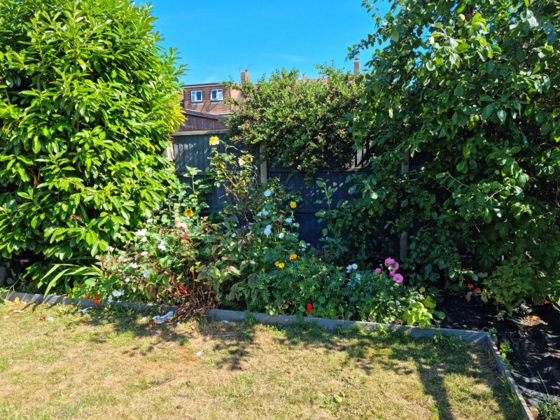 WhatsApp Image 2022-07-16 at 8.12.30 PM (1).jpeg