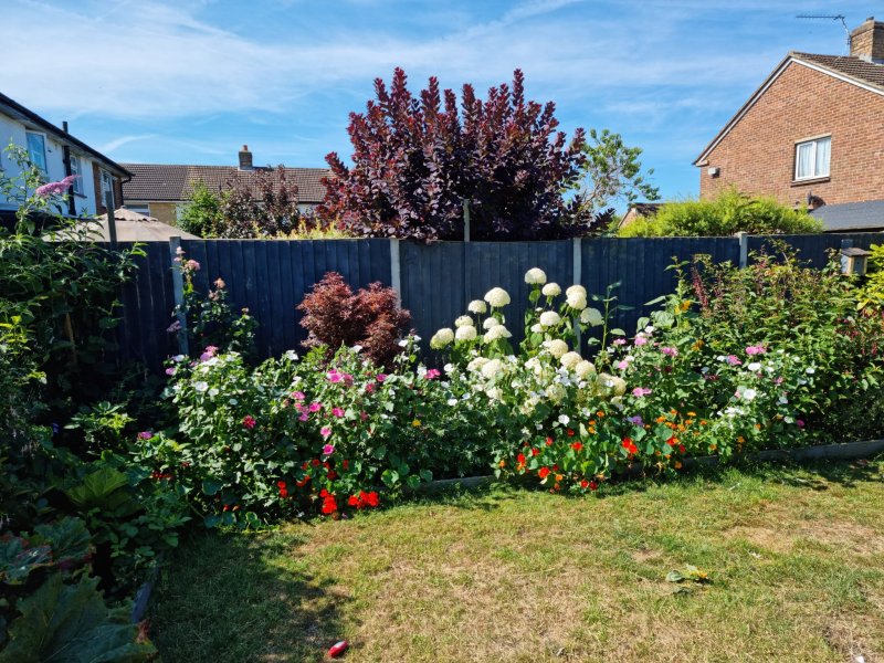 WhatsApp Image 2022-07-16 at 8.12.30 PM.jpeg